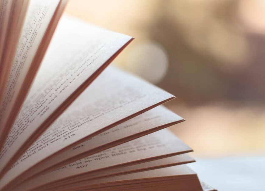Close-up view of an open book with pages fanned out against a soft blurred background.